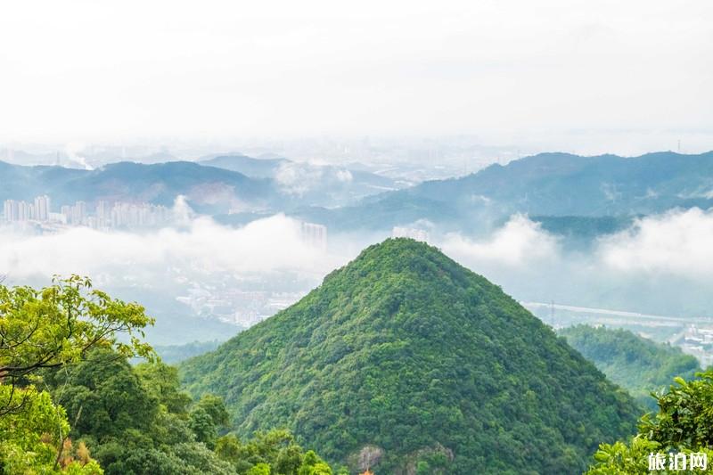 东莞观音山国家森林公园好玩吗 东莞观音山国家森林公园游玩攻略