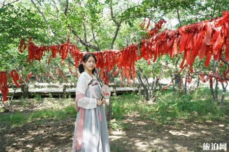 唐山两日游去什么地方比较好 唐山两日游怎么玩