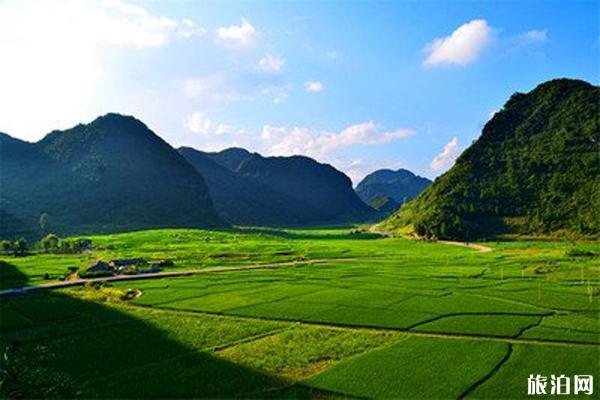 荔波茂蘭自然保護區門票是多少  荔波茂蘭自然保護區旅游攻略