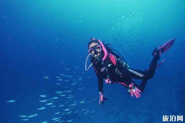 深潜需要潜水证吗 马尔代夫深潜危险吗
