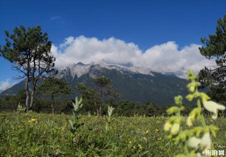玉龙雪山旅游游记 玉龙雪山游记作文