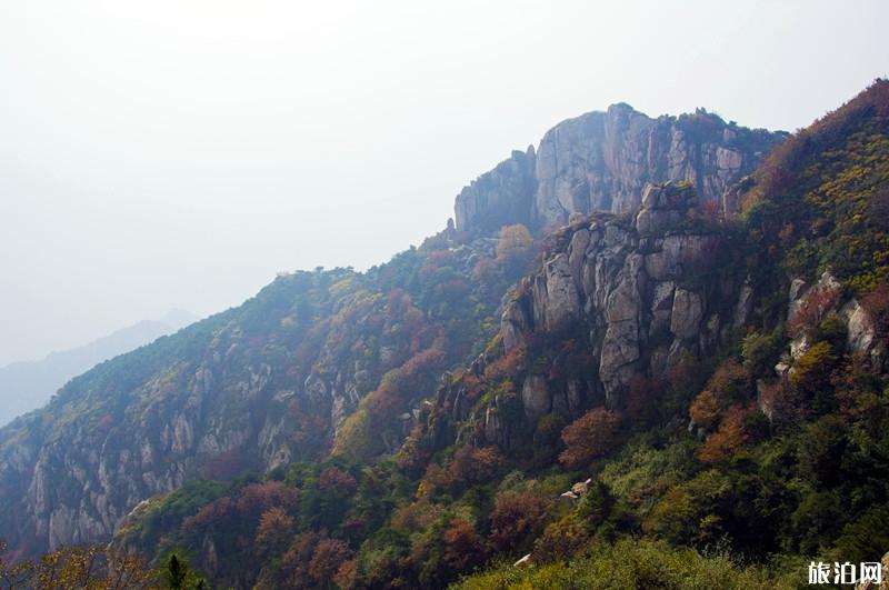 去泰山旅游住哪里方便