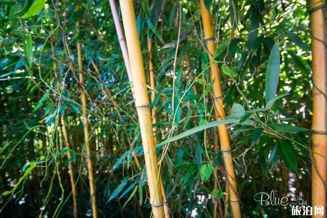 连云港花果山好玩吗 连云港花果山旅游攻略