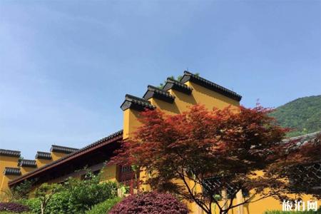 杭州秋日游玩景区游玩攻略+注意事项