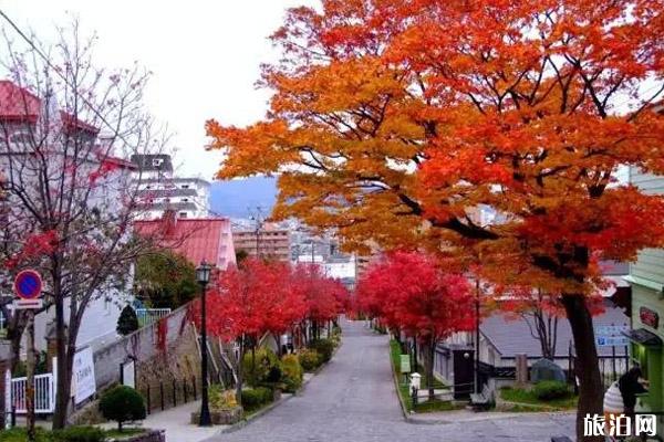 北海道红叶观赏之旅景点推荐