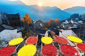 九月婺源旅游攻略