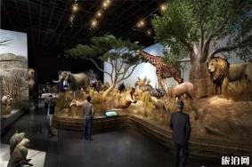 宜昌博物馆开放时间 门票+展馆介绍
