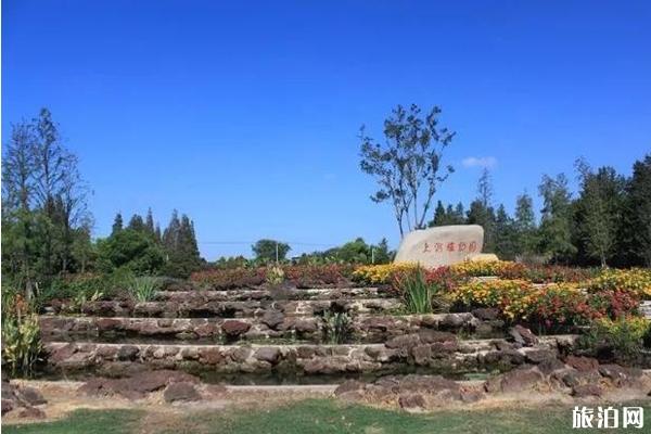 2019上海秋季赏花去哪