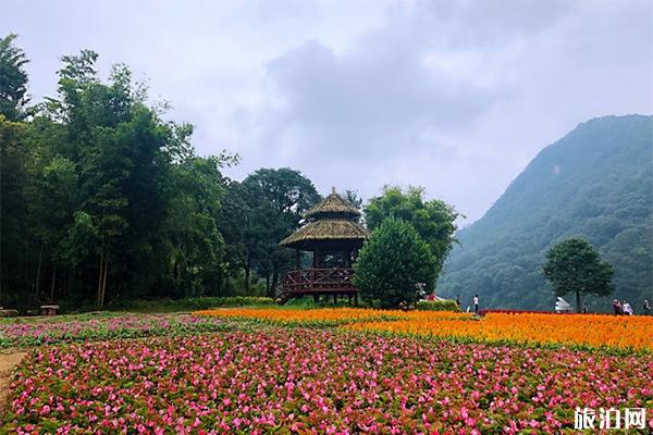 廣州石門國家森林公園好玩嗎 需要門票嗎