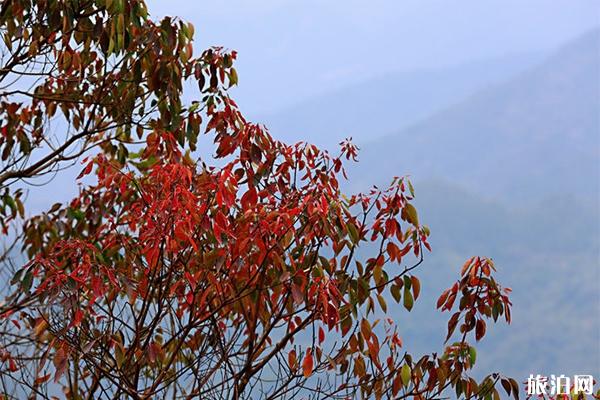 廣州石門國家森林公園好玩嗎 需要門票嗎