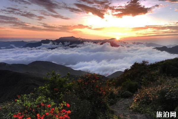 姑婆山門票多少錢 2019姑婆山旅游攻略