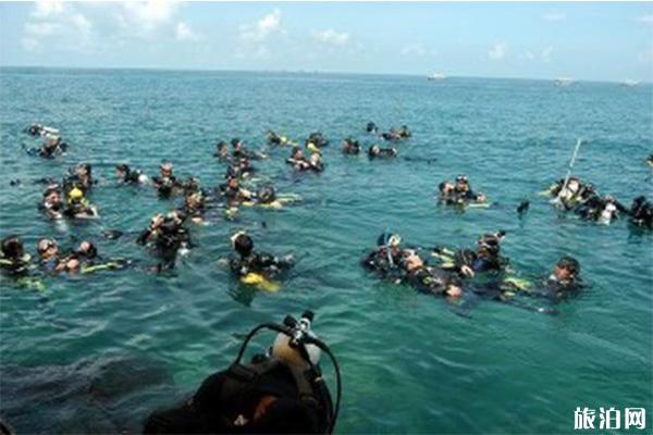 三亚亚龙湾爱琴海潜水度假村浮潜攻略
