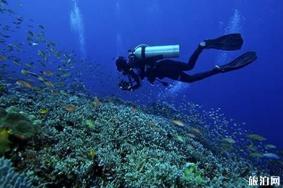 巴厘岛本岛潜水点