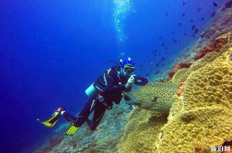 巴厘島離島潛水點推薦 藍夢島潛水去哪