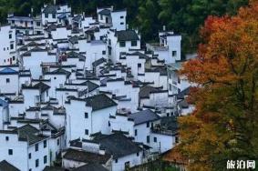 婺源赏枫叶最佳地点推荐