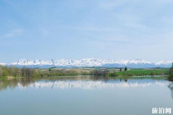 北海道美瑛旅游攻略