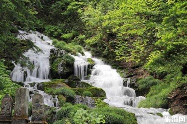 北海道美瑛旅游攻略