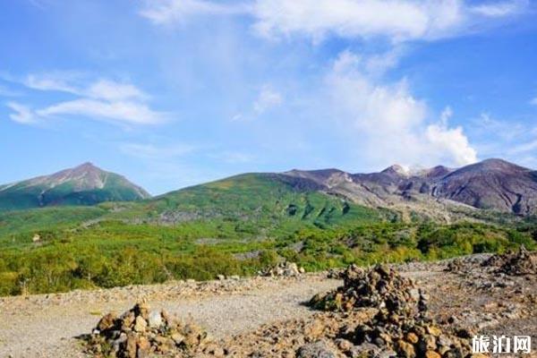 北海道美瑛旅游攻略