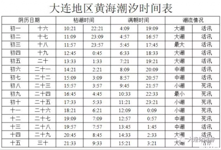 大连开海时间2019+赶海时间 大连赶海去哪里比较好