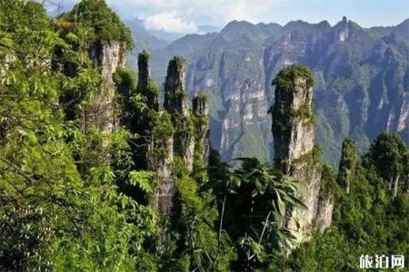 宜昌市区到柴埠溪大峡谷怎么走 花多少时间+怎么玩