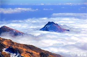 昆明轿子雪山的出行方式推荐 昆明轿子雪山旅游攻略