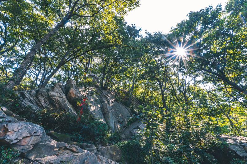 连云港花果山旅游攻略最新(附门票+交通路线+注意事项)