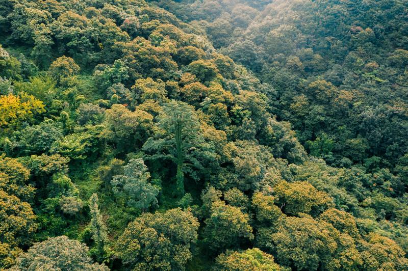 连云港花果山旅游攻略最新(附门票+交通路线+注意事项)