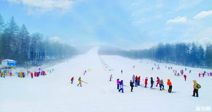 黑龙江有哪些滑雪场 黑龙江滑雪地推荐