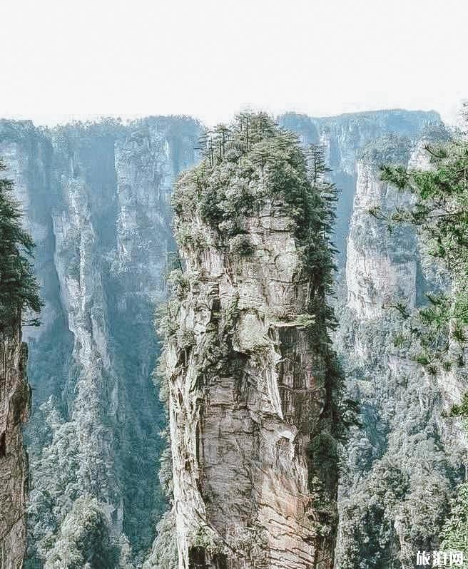 去张家界要注意点什么 张家界旅游都需要带什么