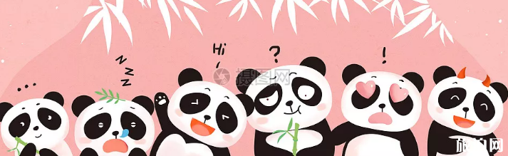 2019年国庆节石家庄动物园熊猫馆开放吗