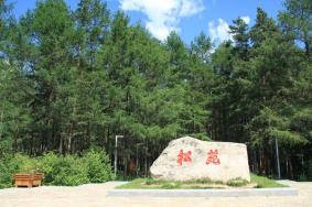 漠河免门票景点线路推荐
