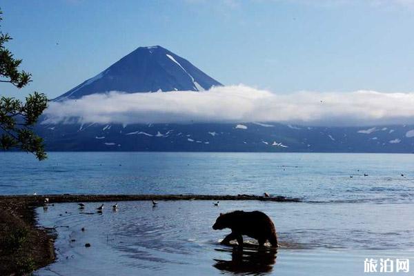 堪察加半島好玩嗎  堪察加半島旅游攻略