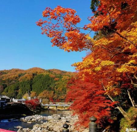 2019日本赏枫叶的最佳季节+最佳地方