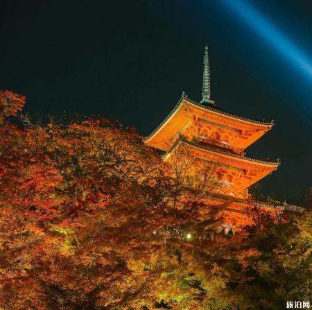 2019日本赏枫叶的最佳季节+最佳地方