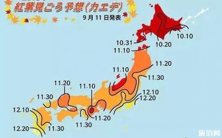 2019日本赏枫叶的最佳季节+最佳地方