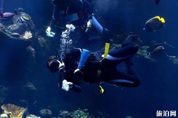 仙本那潜水证考试价格 仙本那潜水课程