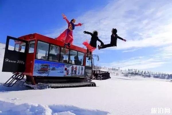 北疆玩雪攻略 北疆怎么玩雪