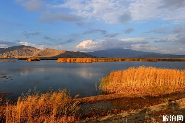 北疆最佳旅游季节 北疆五日游线路推荐