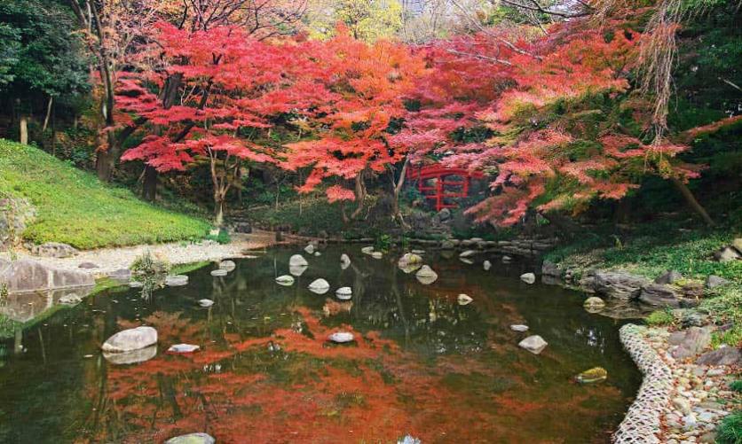 日本红叶时间表大全2019 日本红叶季是几月