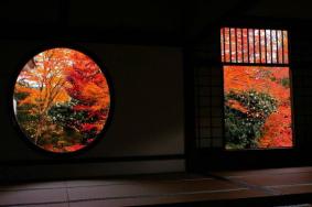 京都赏枫叶最佳地点 京都赏枫叶的寺庙推荐