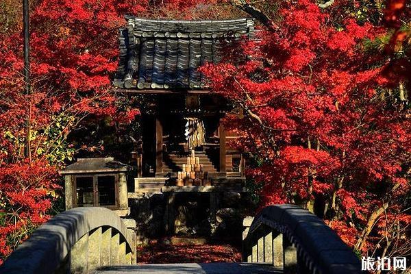 京都赏枫叶最佳地点 京都赏枫叶的寺庙推荐