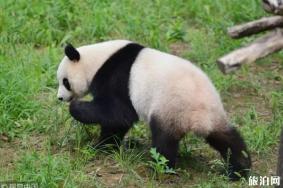 2019年9月南京景点免费日时间+名单