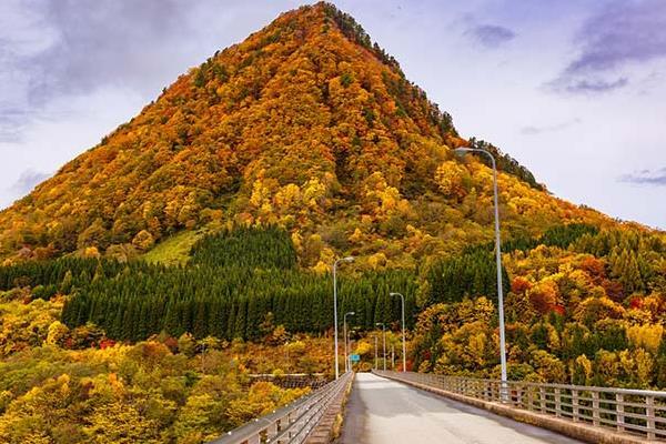 日本白叶时候表大年夜齐2019 日本白叶季是几月