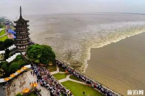 钱江观潮节交通指南 2019盐官景区通行证使用时间