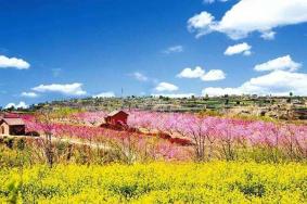 2019年成都九月赏花地点推荐