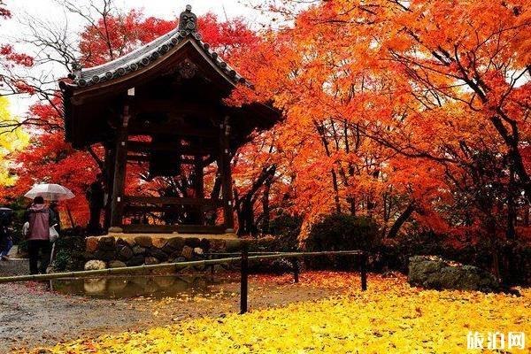 京都红叶季2019 京都红叶什么时间最美