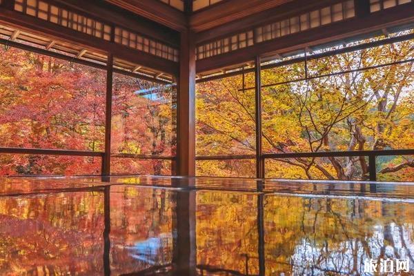 京都赏枫叶最佳地点 京都赏枫叶的寺庙推荐
