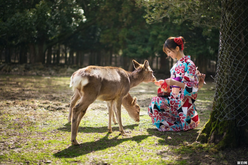 2019年第15號臺風法茜最新消息 日本臺風影響旅游嗎