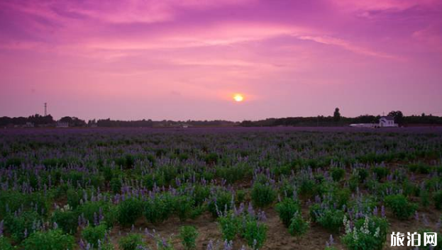 2019济南教师节免费景点+优惠活动