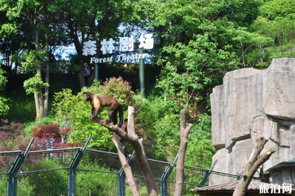 2019年中秋長沙生態動物園燈會時間+門票價格+活動信息